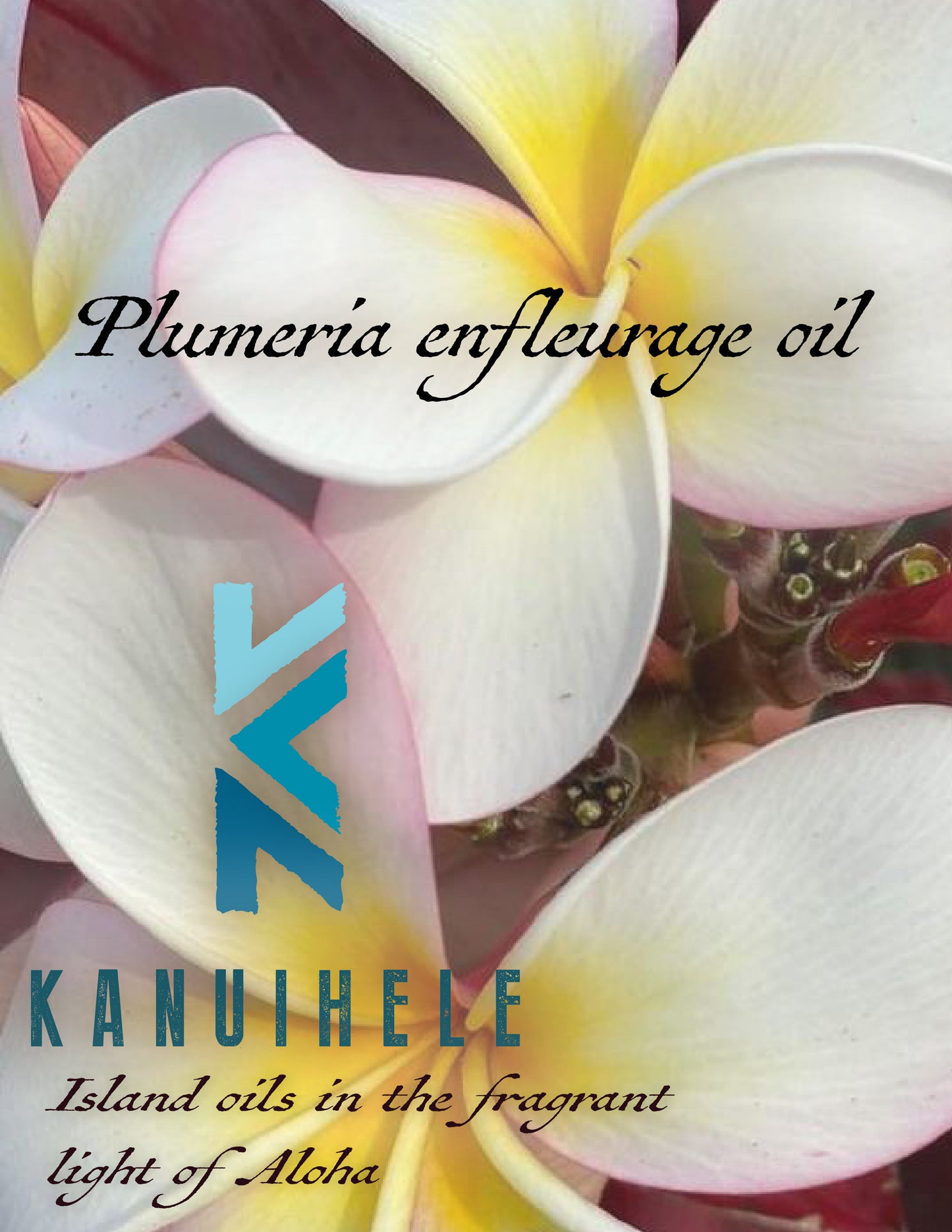 Plumeria Enfleurage Oil
