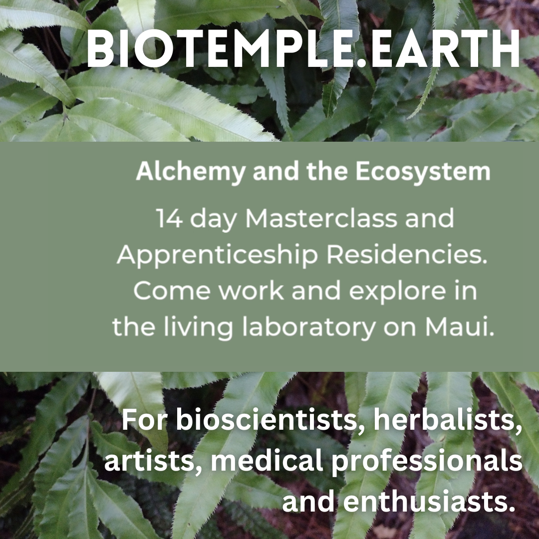 Biotemple Residency