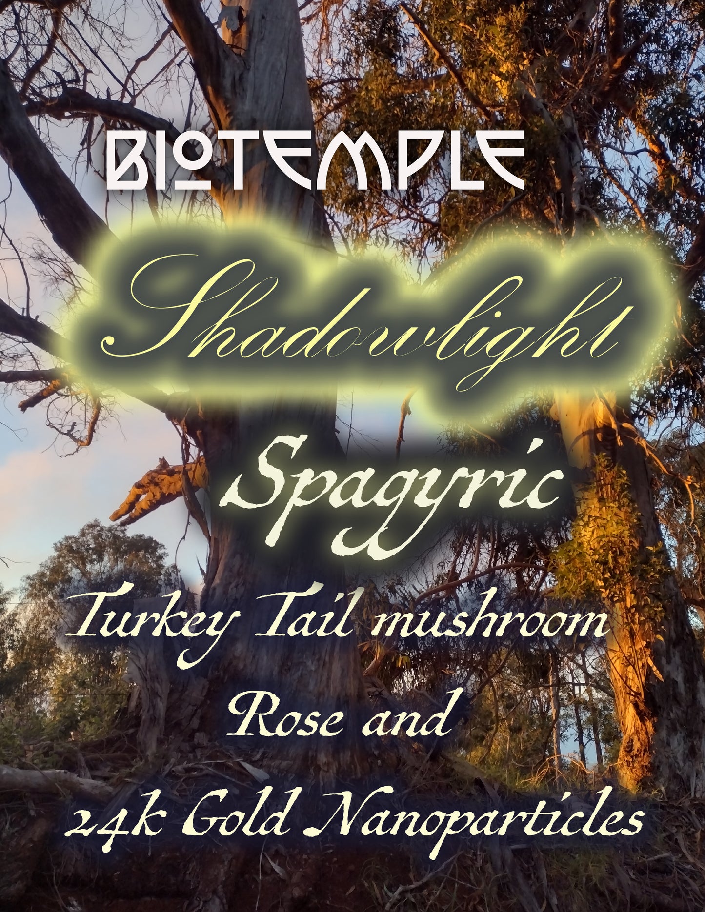 Shadowlight Spagyric Turkey Tale, Rose and 24K Gold Spagyric Honey