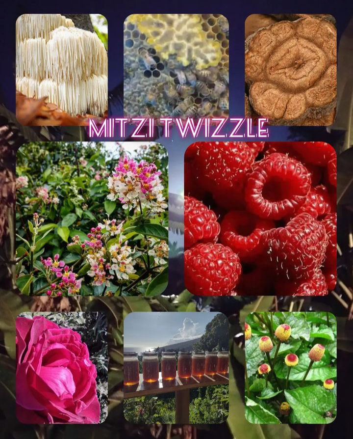 Mitzi Twizzle