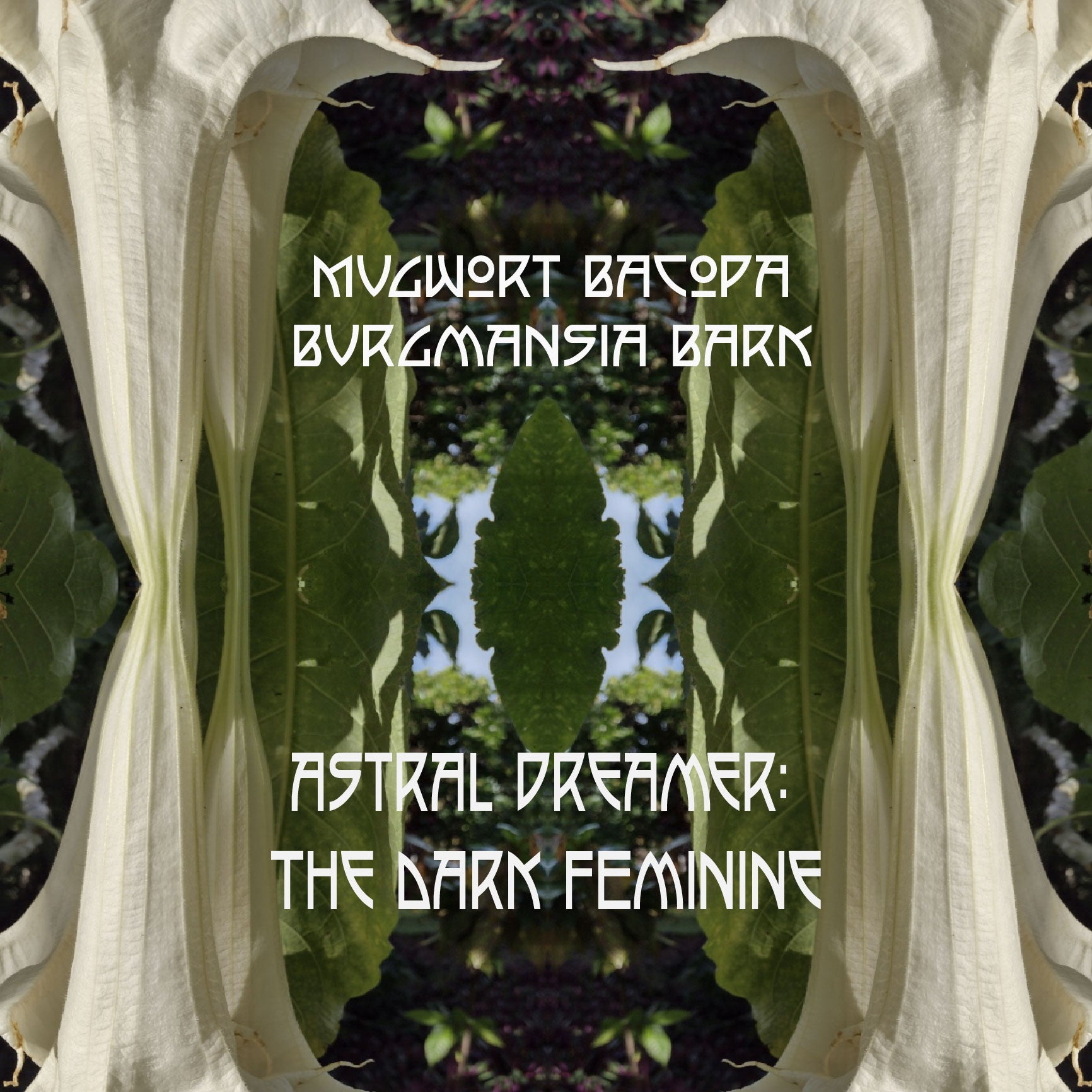 Mugwort, Bacopa, Burgmansia Bark. Astral Dreamer:The Dark Feminine